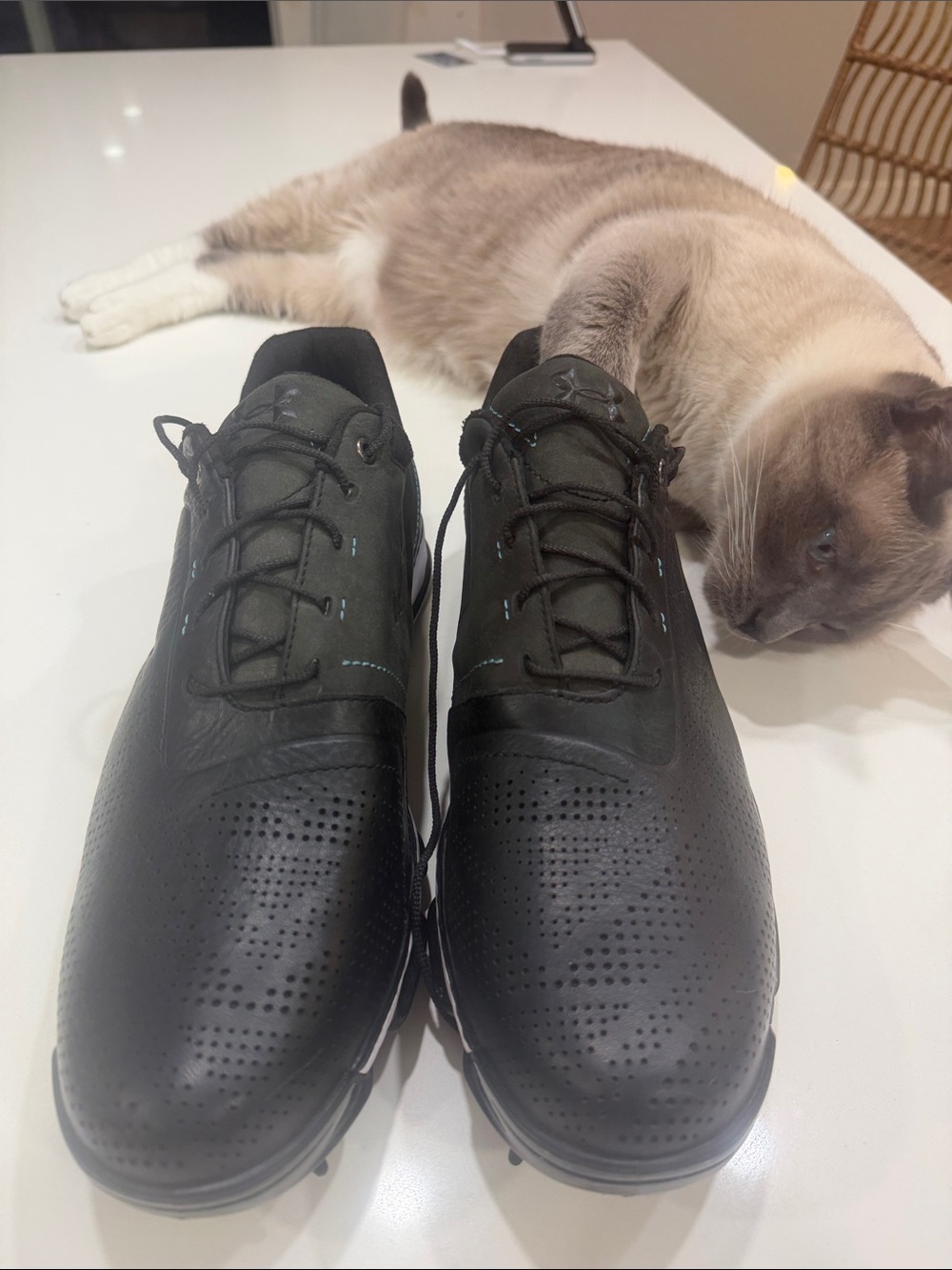 Men's Black Athletic Golf Shoes - Under Armour